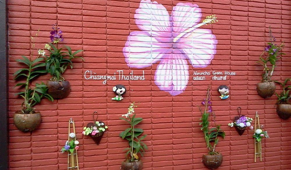 Naruncha Green House Чиангмай Екстериор снимка